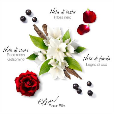 Mauboussin Elixir Pour Elle